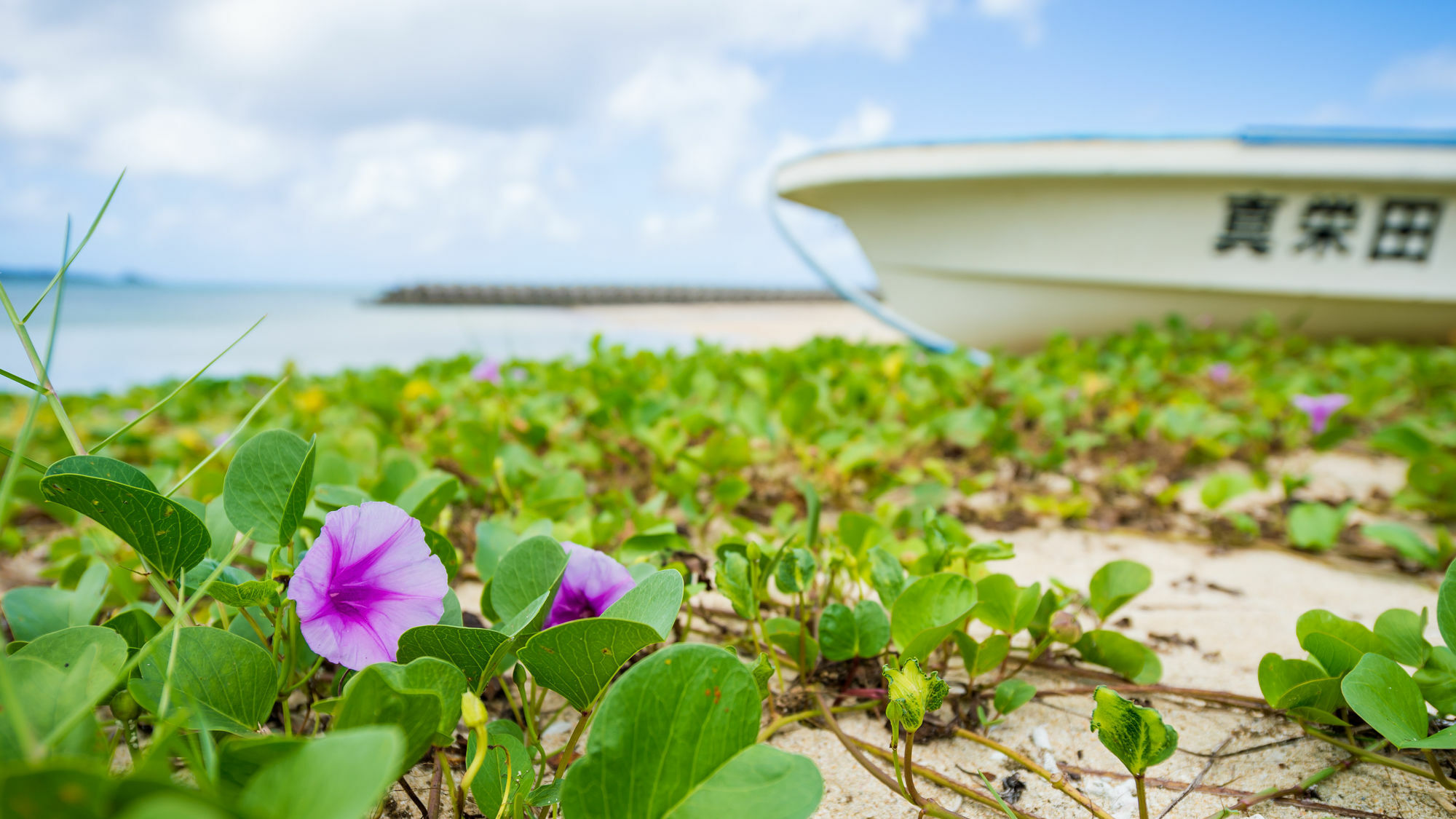 United Resort Ocean Front 恩納村 エクステリア 写真
